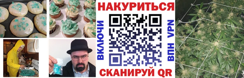 как найти   Оса  Cannafood конопля 