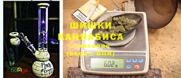 a pvp Новозыбков