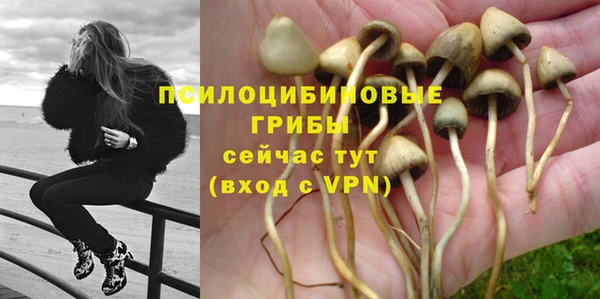 apvp Арсеньев